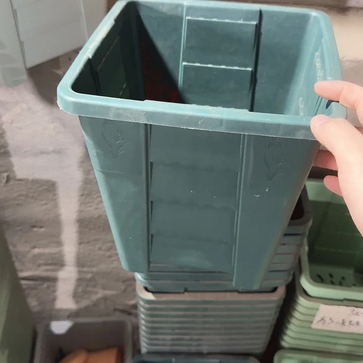 方22口径10个无托军绿