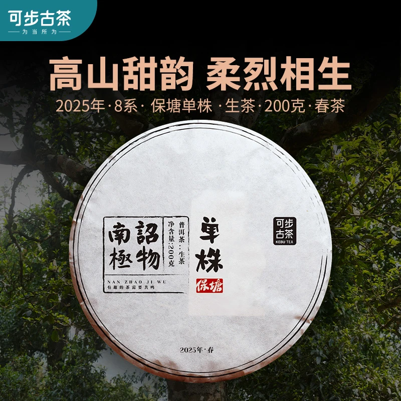 【2025年头春茶】保塘·单株 云南古树普洱茶生茶叶支持定制 200克饼
