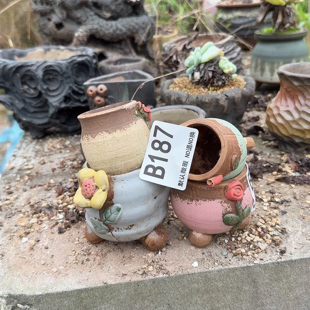 重庆小燕子欢迎大家187