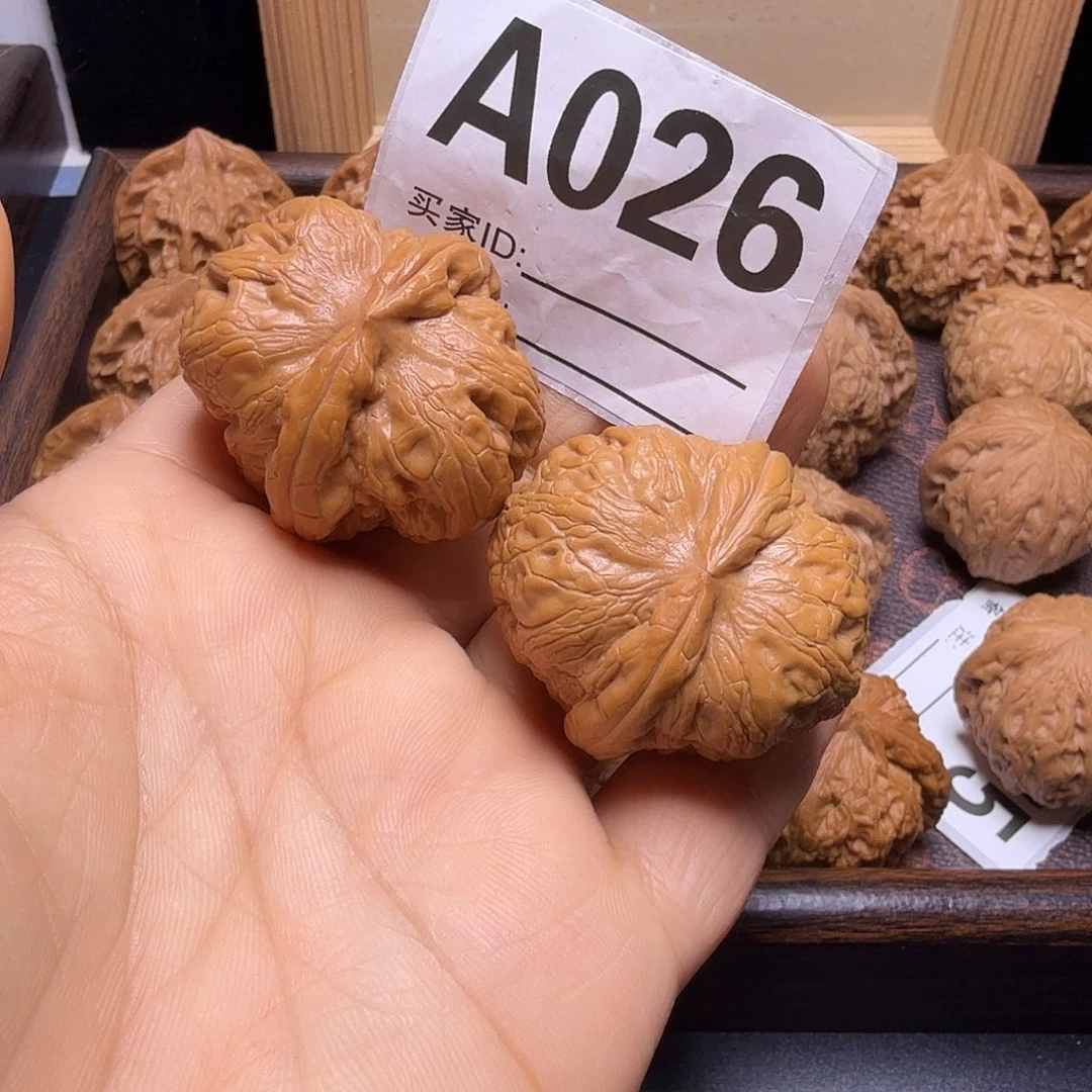 文玩核桃把件40尺元宝A026