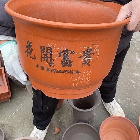 中国宜兴紫砂花盆，