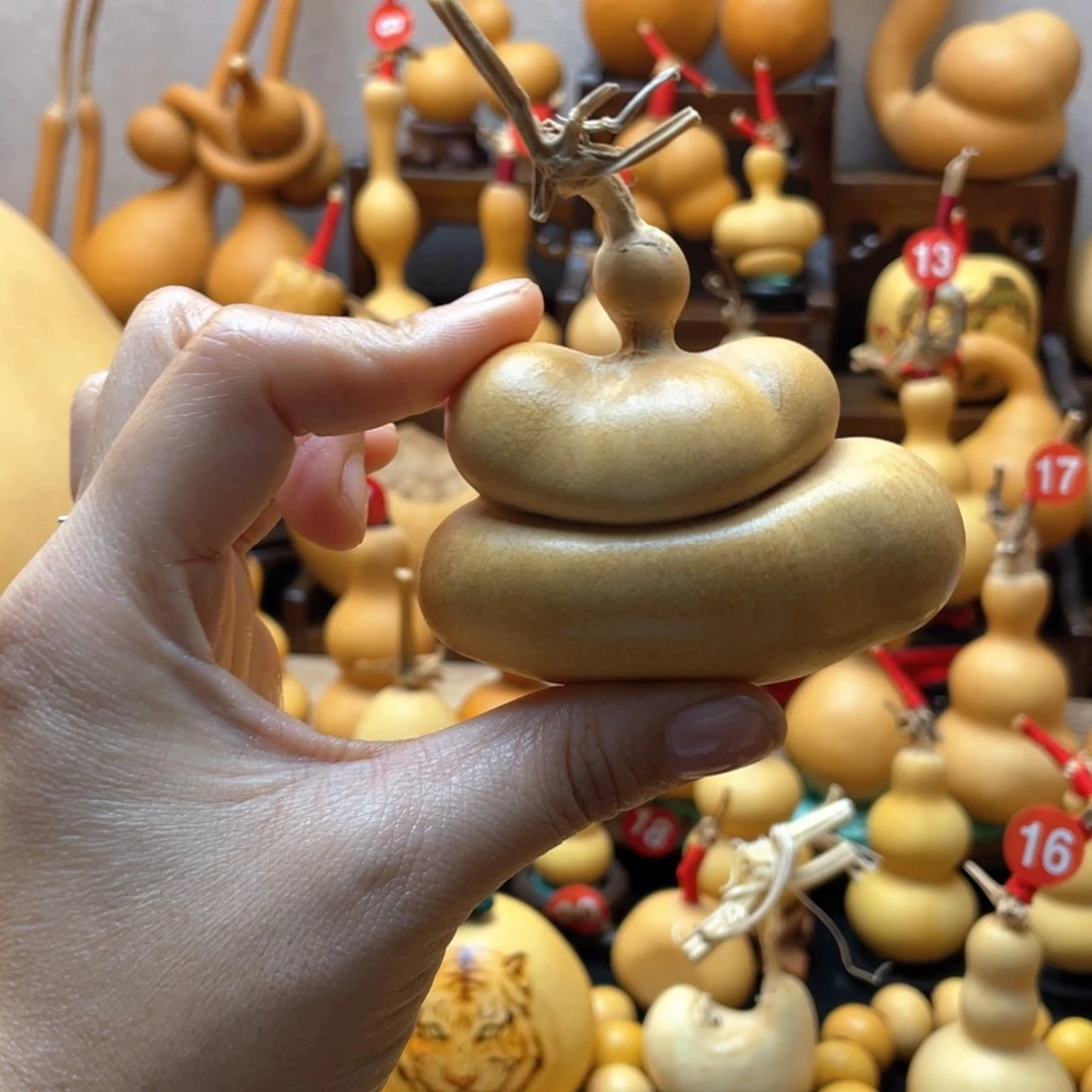 江*楠大自然的秘密第十一节你是谁的