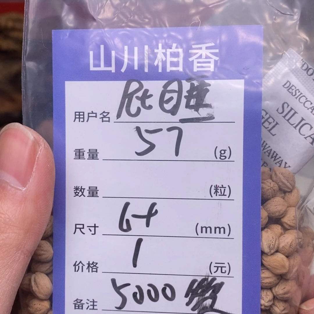 柏香籽/百香籽吊坠屁*