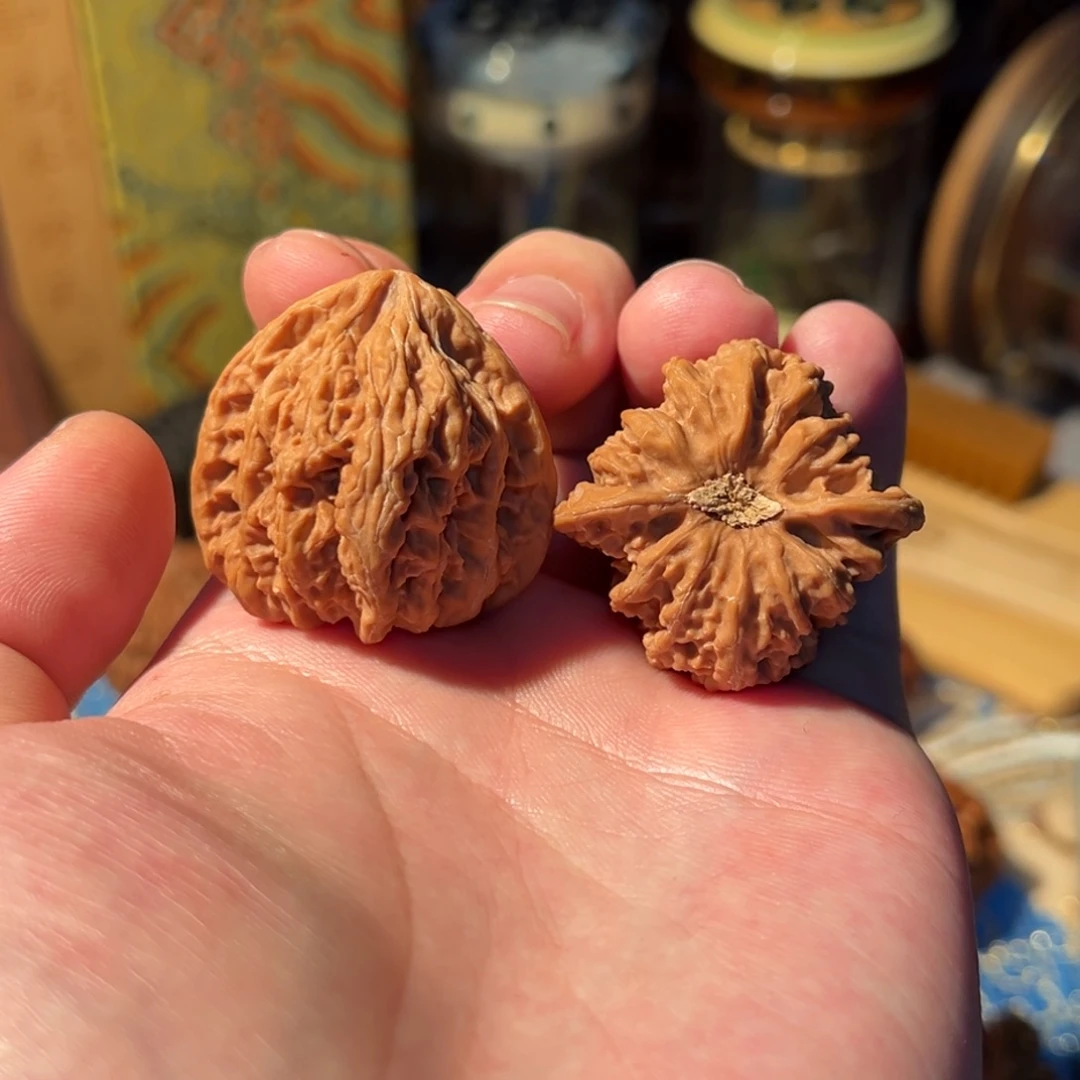 把件文玩核桃全品密纹石膏底36