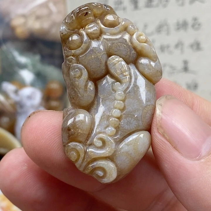 硅化珊瑚（珊瑚玉）未镶嵌颈饰