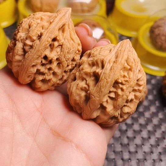 文玩核桃40尺大沽石
