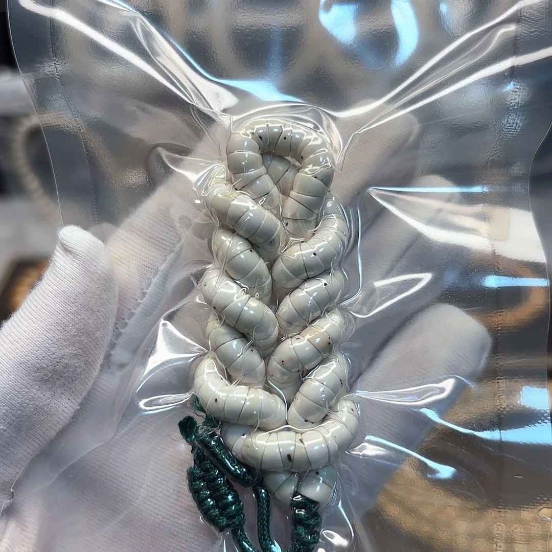 星月菩提吊坠高品质原白大肠卡6数星