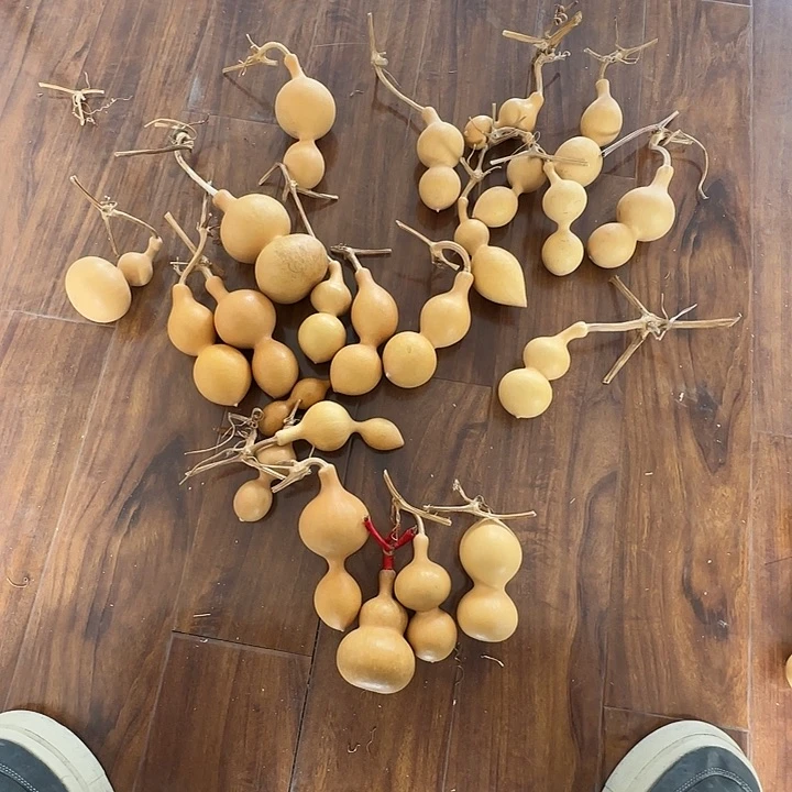 艺*八宝葫芦组合活动