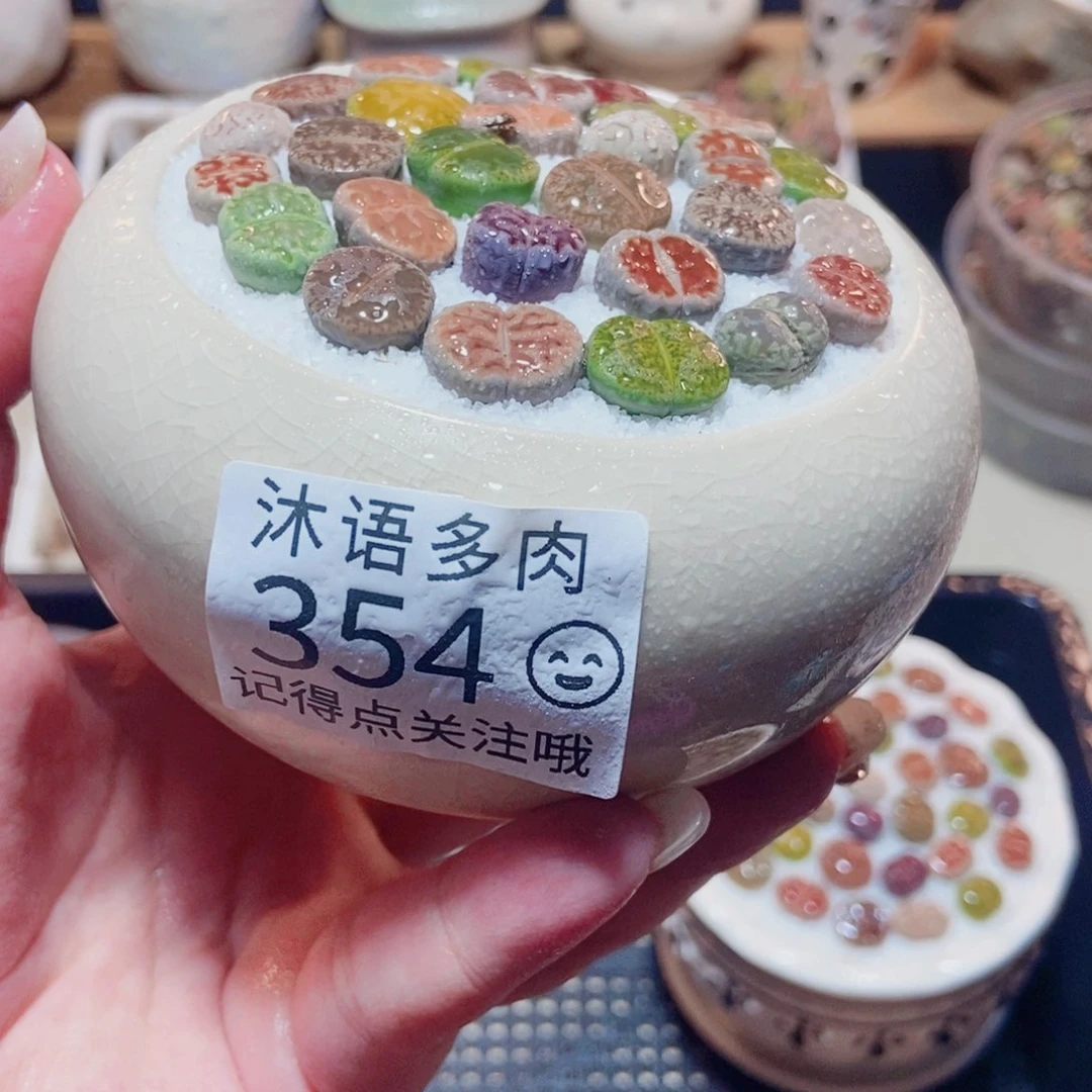 一物一拍 所见即所得354