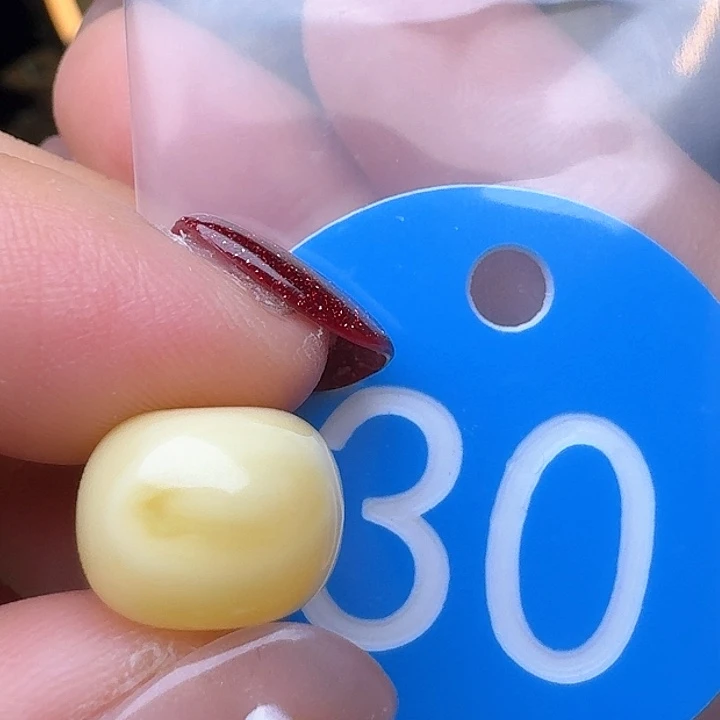 蜜蜡裸石未镶嵌12.5m m