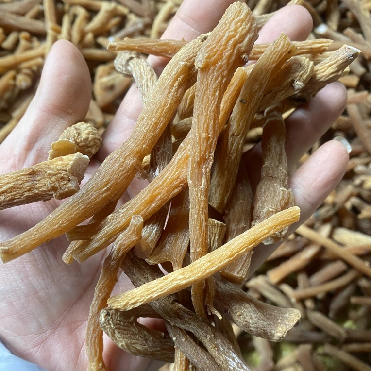 长白山特产 红参腿 煮水 煲汤