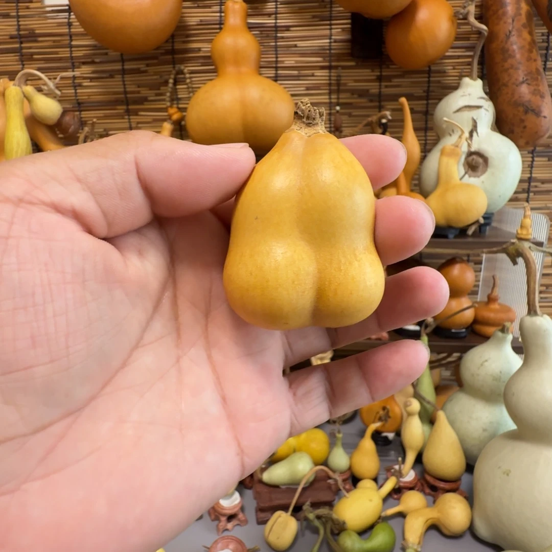 维***诘小美连体闪购链接