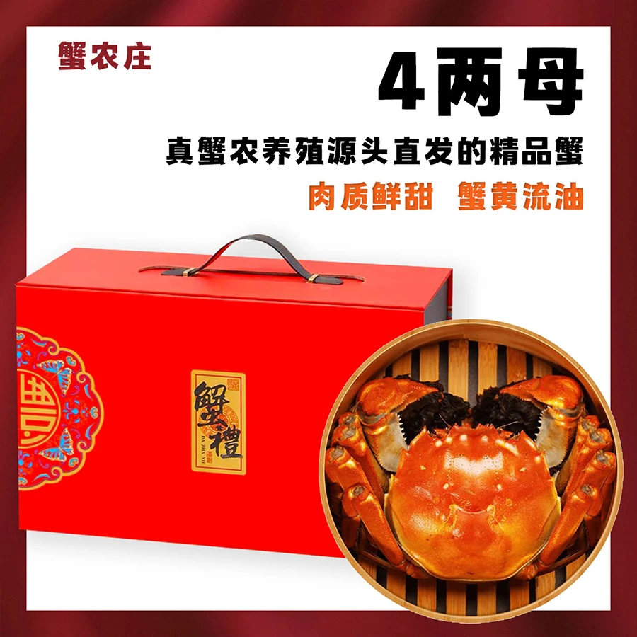 【活蟹】4两全母蟹6-10只装江苏兴化大闸蟹精品蟹挑膏蟹