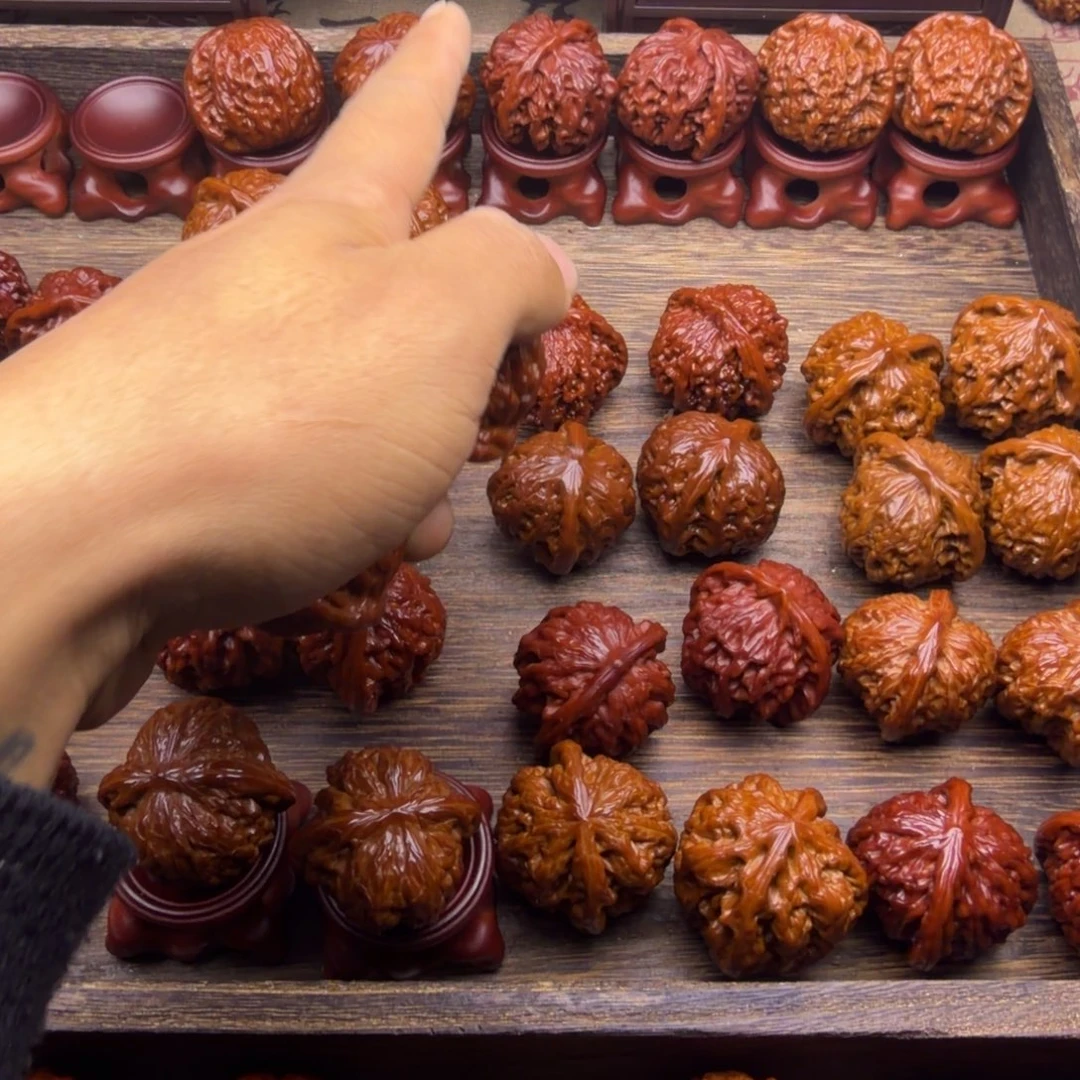 菩提籽类三角疆宝贝宝贝