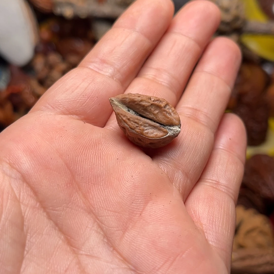 吊坠文玩核桃，**，核桃127