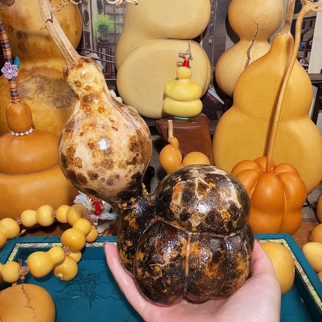 ╰****切葫芦呀呀呀呀呀呀呀呀呀呀