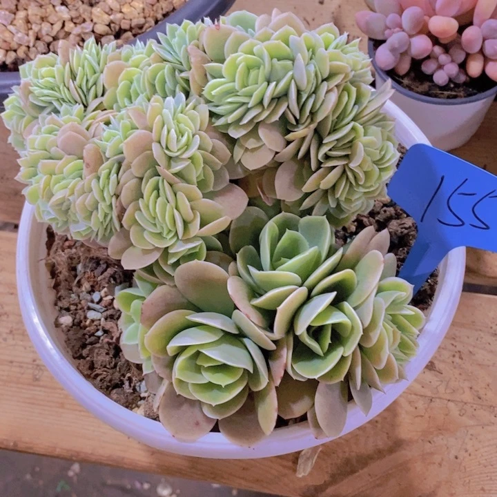 倩***肝你说什么都不说啊怎么