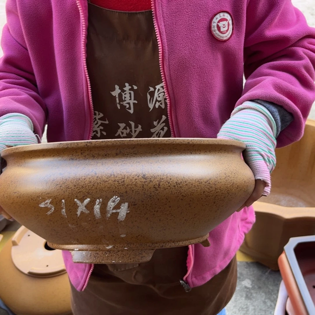 花盆紫砂盆景艺术