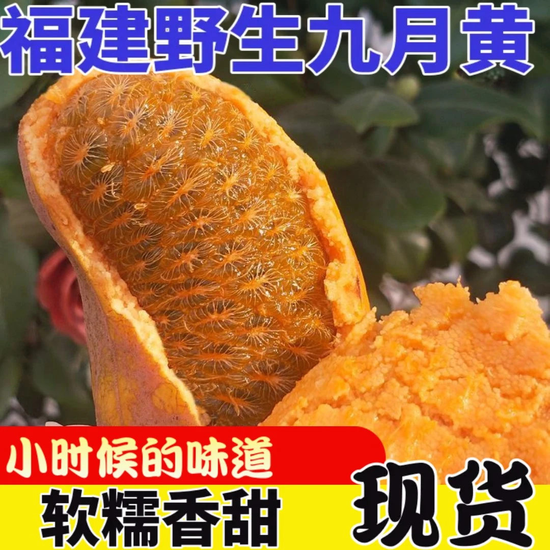 野生九月黄牛卵坨罗藤包拿藤包八月瓜罕见水果