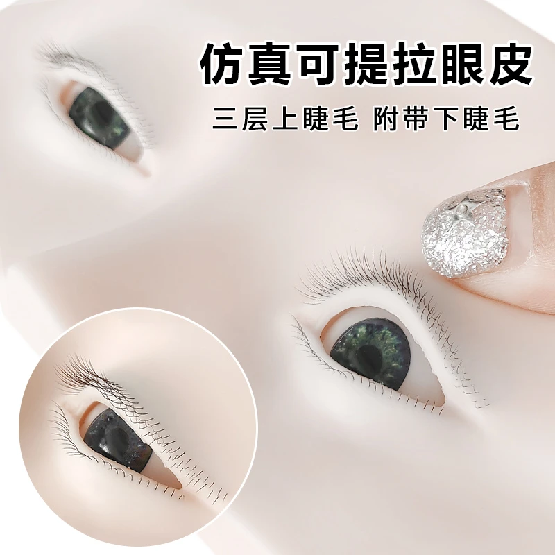 美睫练习模特头三层睫毛可提拉眼皮重复使用美睫教学用品