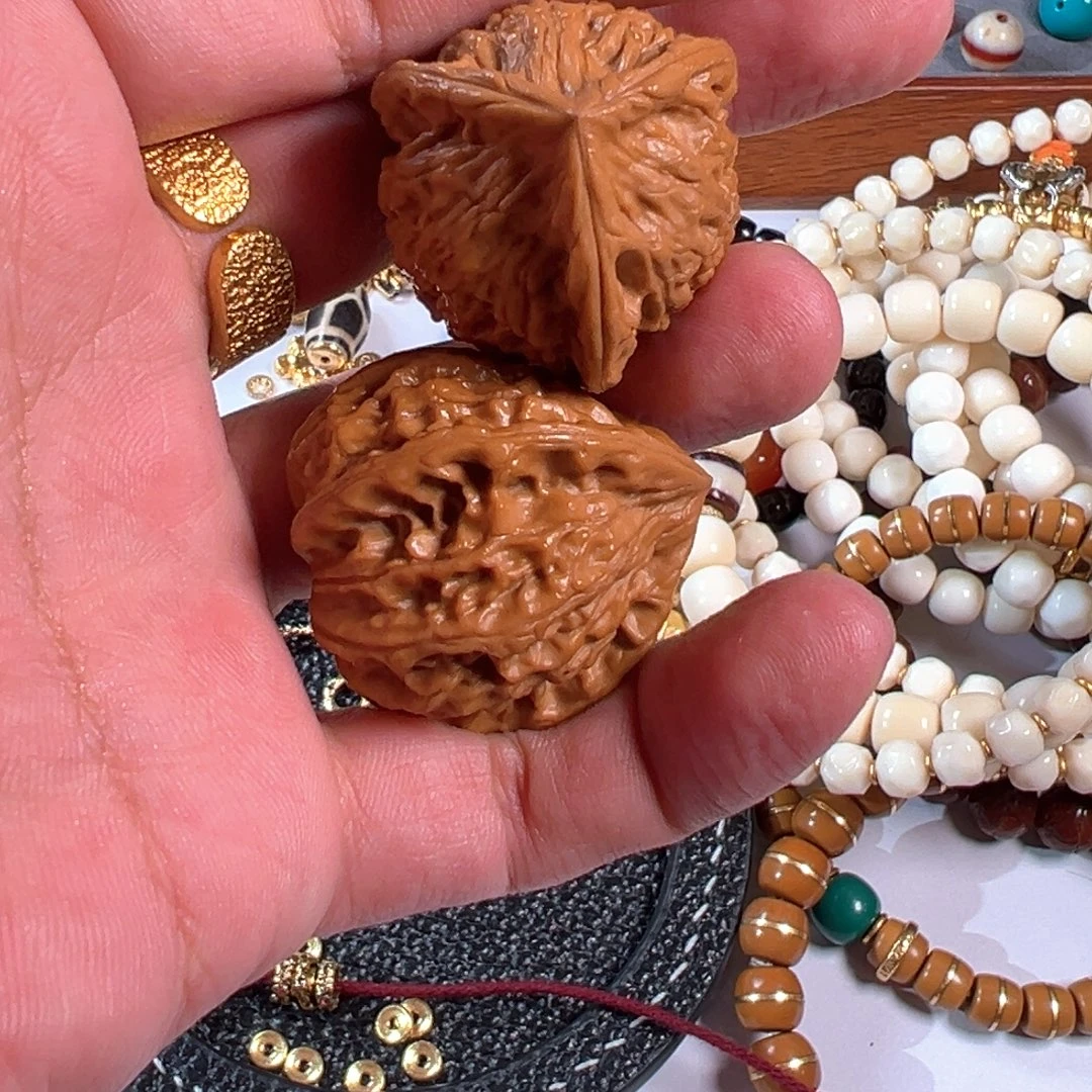 糖三角正奔1111111