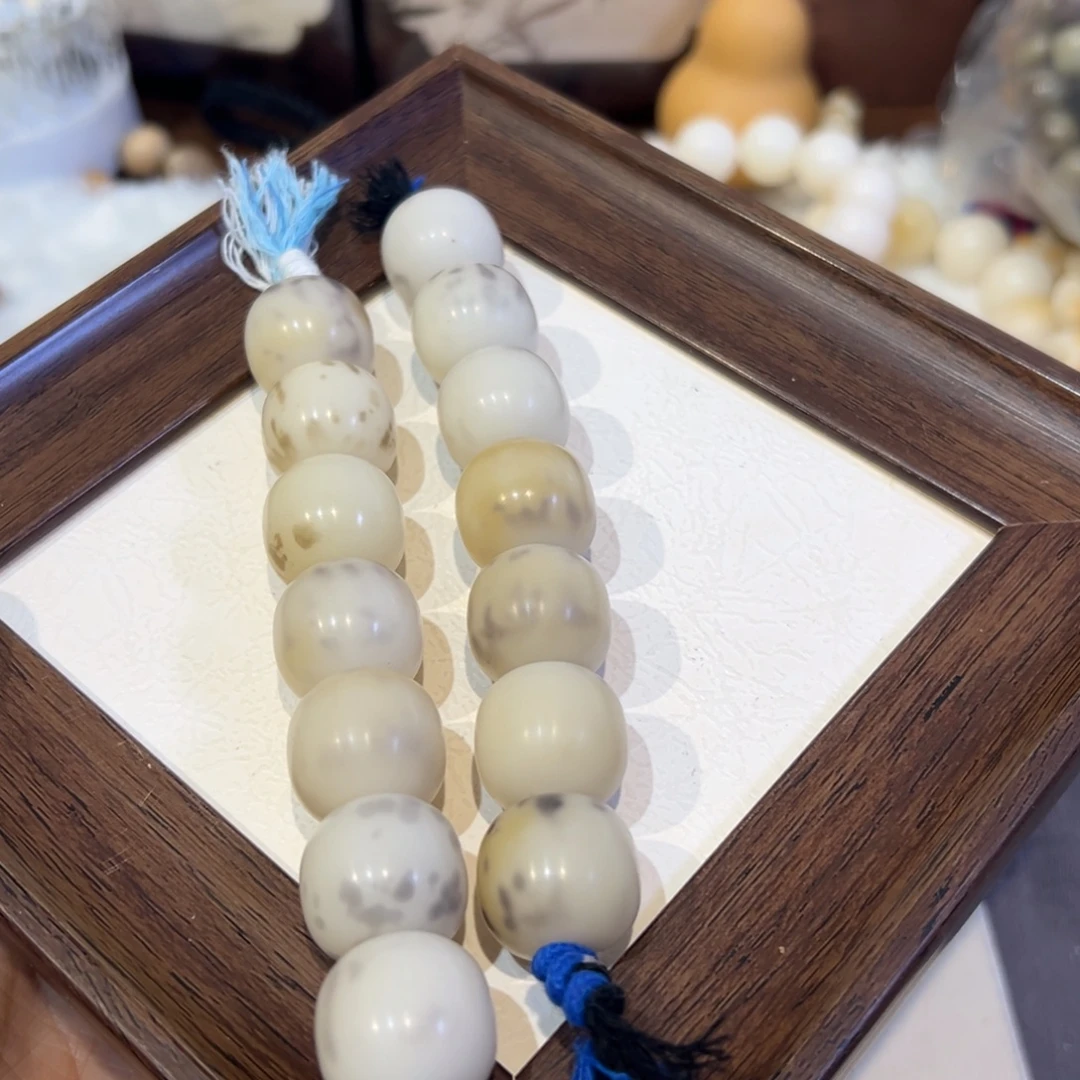 吊坠菩提根/象牙果菩提根棒棒卡19暇