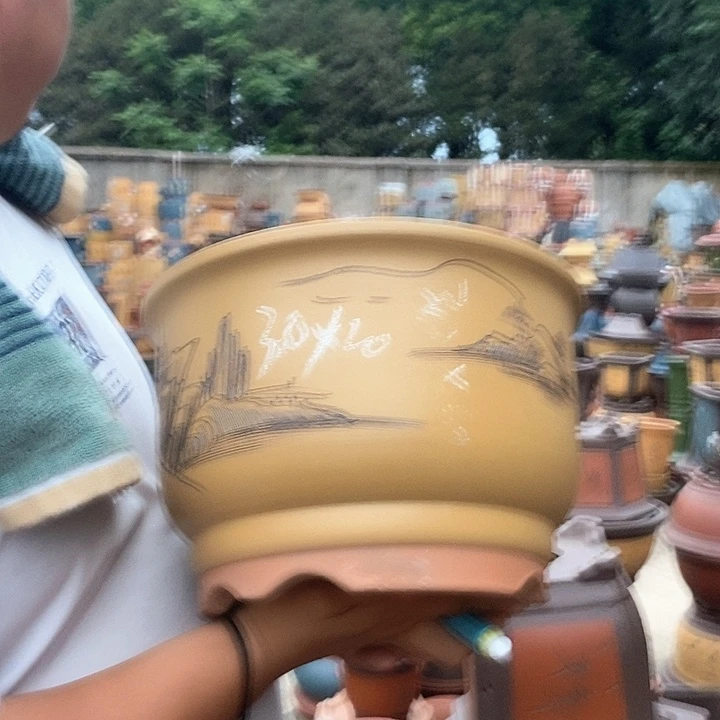 紫砂花盆紫砂花盆花卉种植