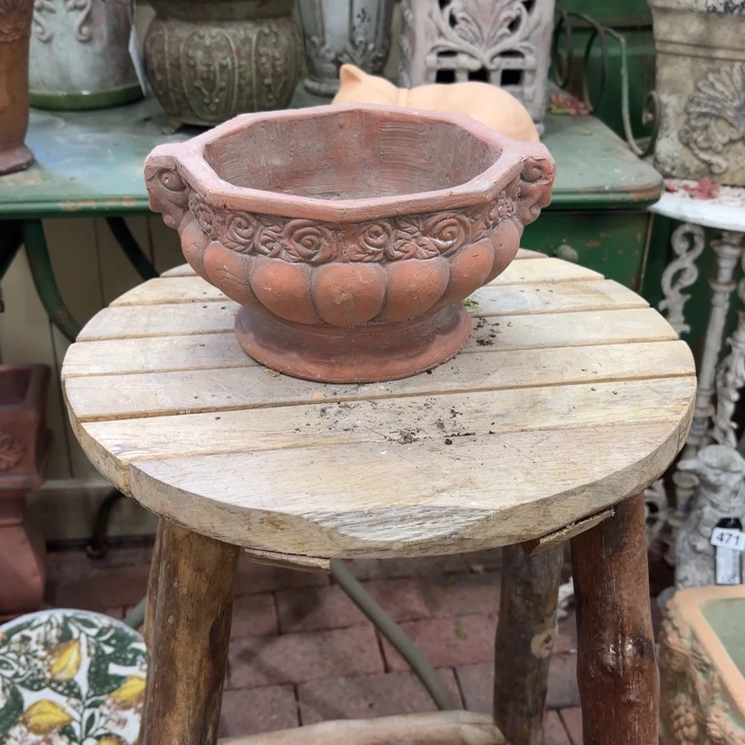 许纯的花房 玫瑰奖杯