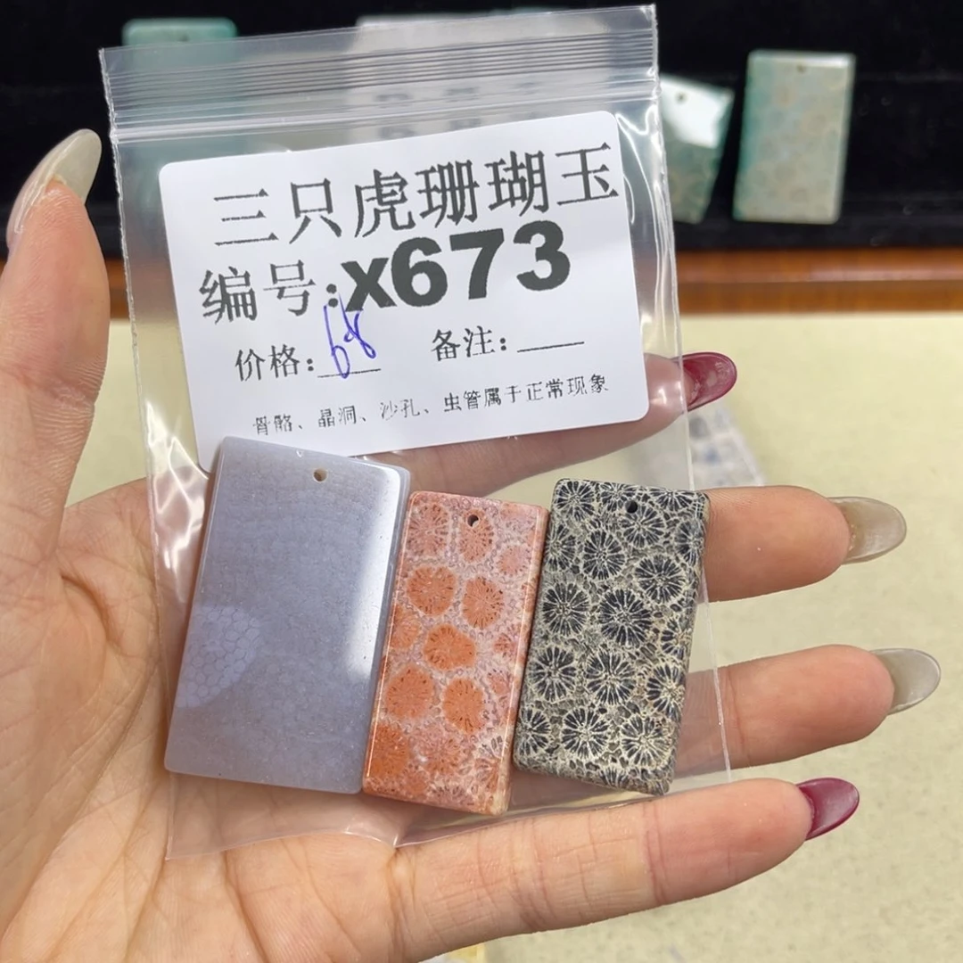 元***锦硅化珊瑚（珊瑚玉）h银S925镀金镶嵌