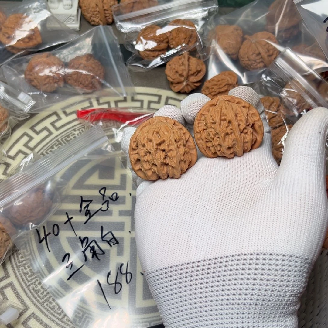全品无修白狮子40+的