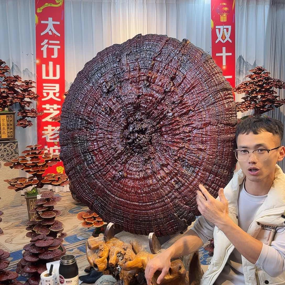 无花朵88888888888888