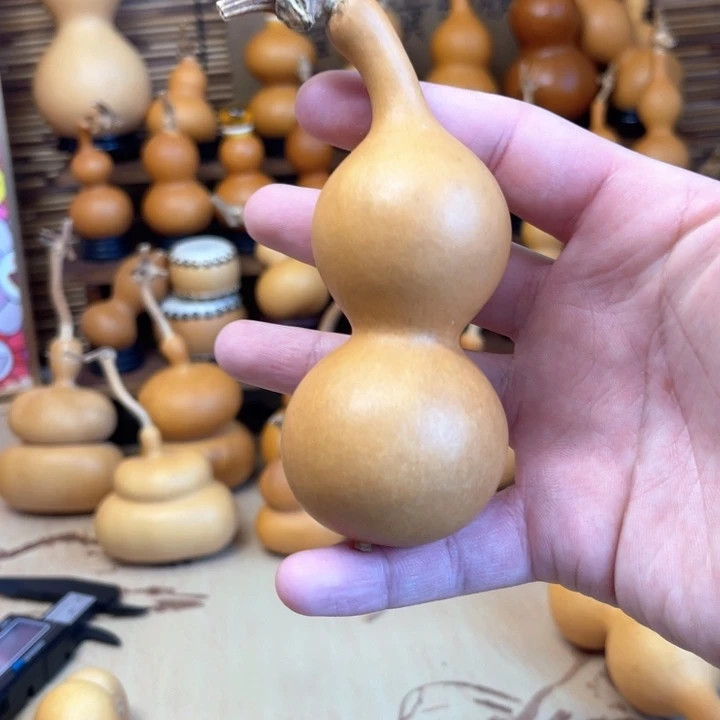 五五度厚皮响籽大蚂蚁32