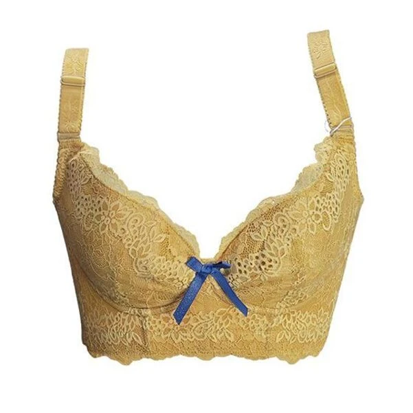 澳海伦琴文胸内衣舒适薄款性感蕾丝聚拢调整型矫正侧收上托定型