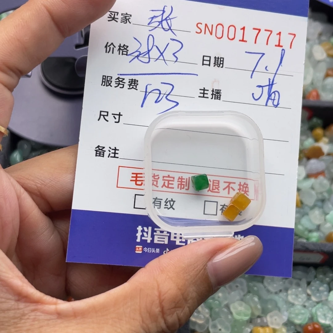 翡翠未镶嵌颈饰张***姐00000017717