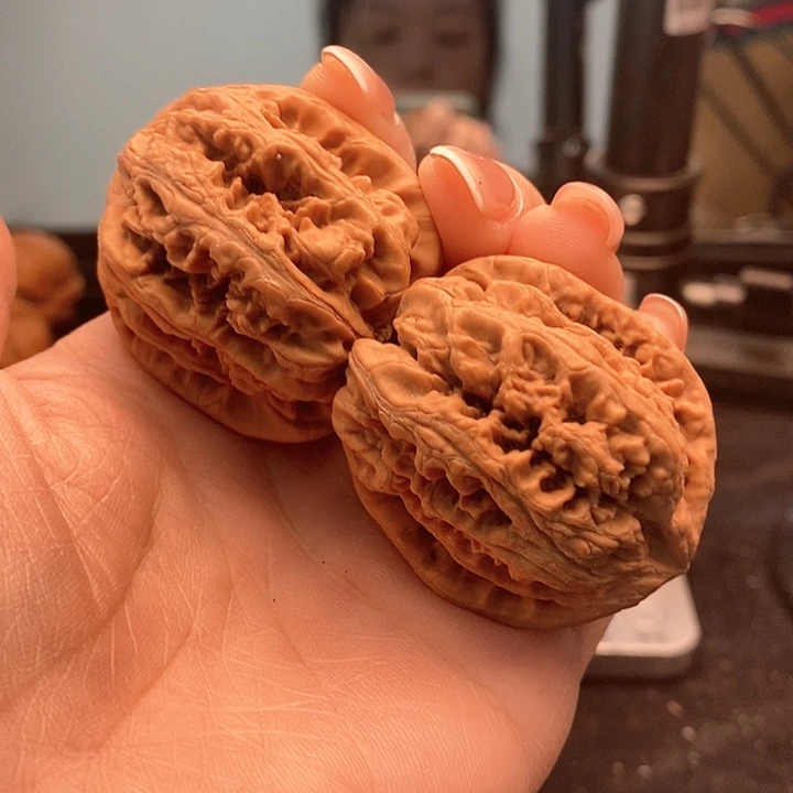 文玩核桃把件y*粗筋