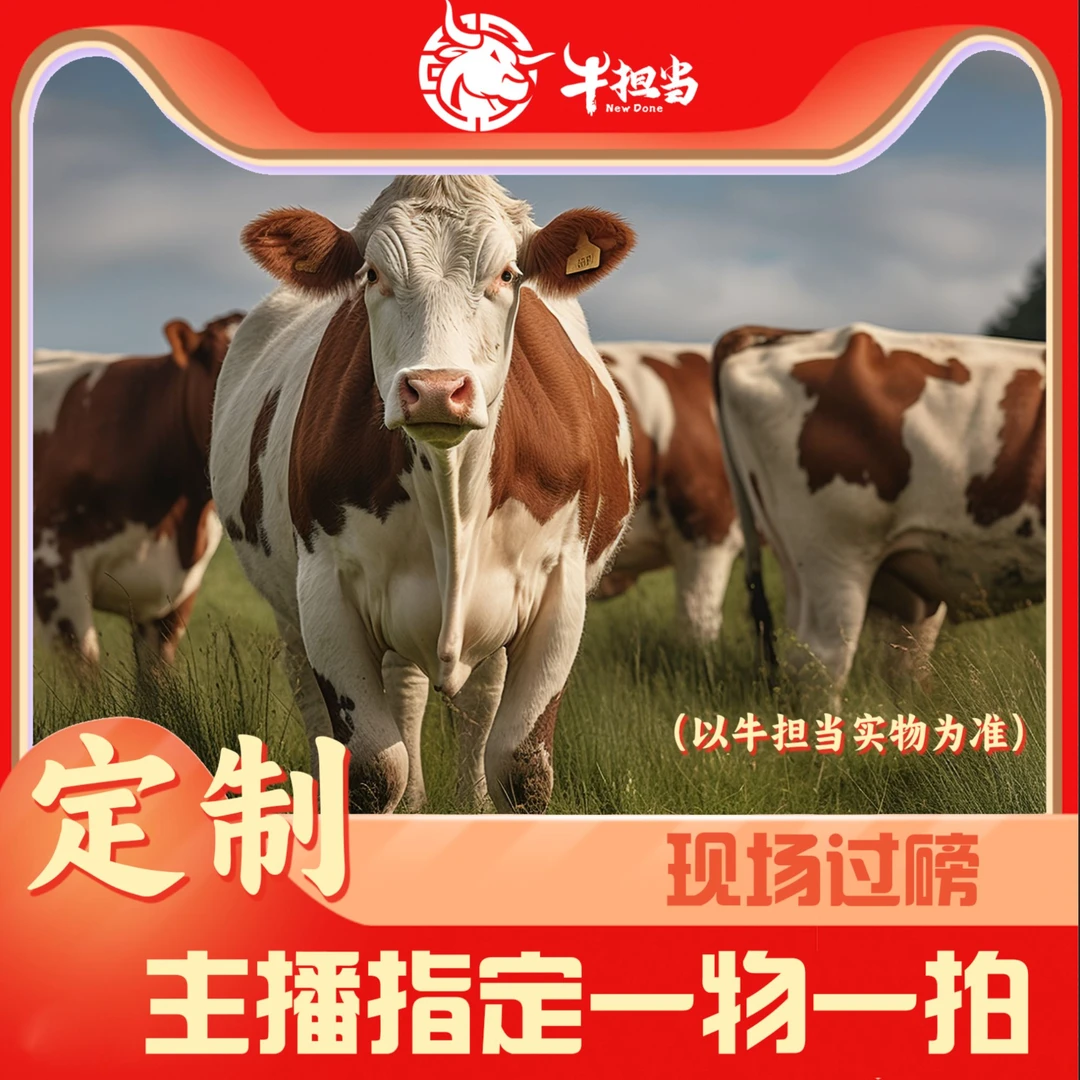 主播定制（原切牛肉片精修后牛腿肉）0kg