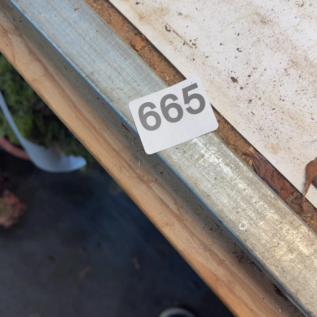 雪***雪多肉植物保温棉665