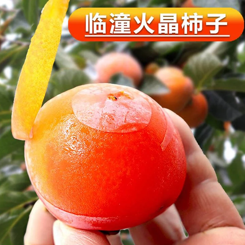 正宗陕西特产临潼火晶柿子小蜜柿应季新鲜柿子一口吸软甜红小柿子