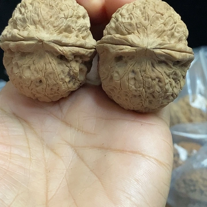 文玩核桃把件云南铁核桃基地76