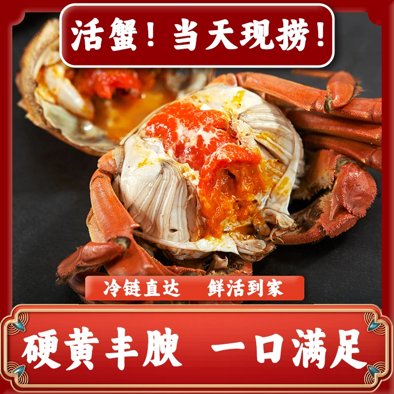 【活蟹现发】江苏精品大闸蟹 全母蟹3.0-2.7两 拍8只送2只到手10只