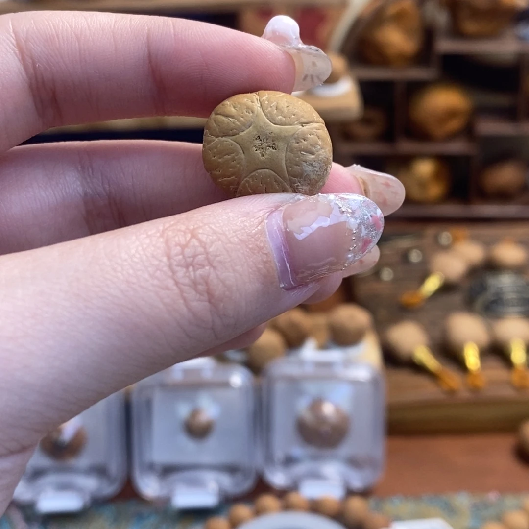 凤眼菩提吊坠五星