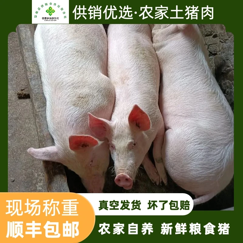 【无忧助农】现场称重一物一拍农家散养土猪肉顺丰冷链