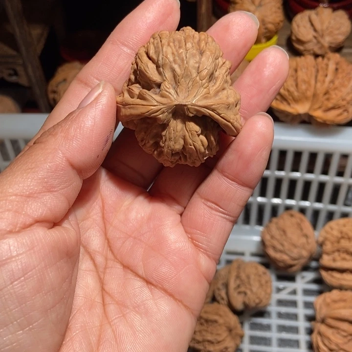 江***辞核桃宫灯尺寸42全品