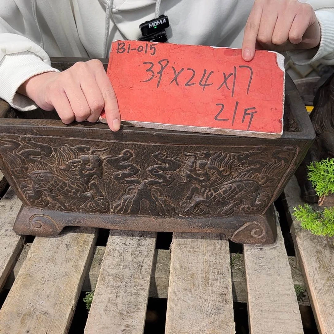 复合盆景艺术的设计师B1-015