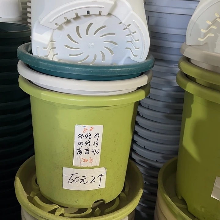 微瑕8#口径39无托果绿3个