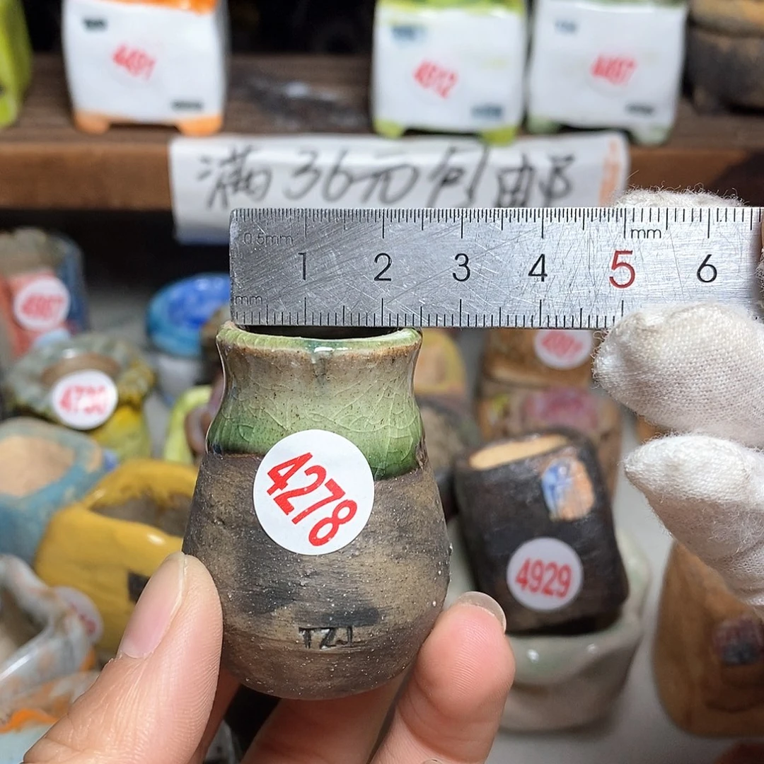 红陶拍5送一个小