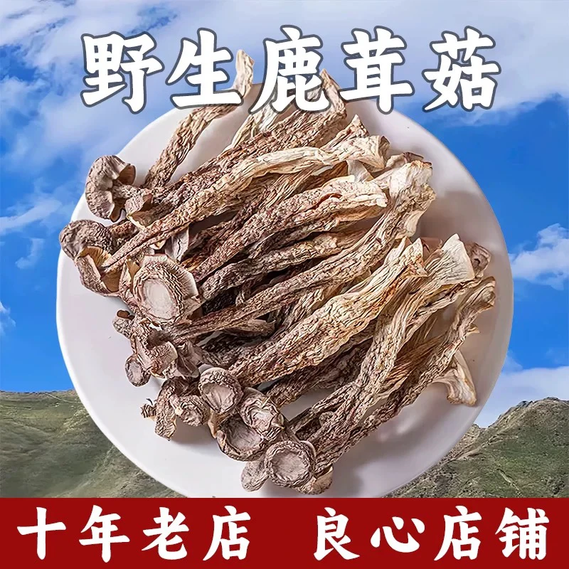 西藏天然精选鹿茸菇干货西藏特产鹿茸菇香菇蘑菇新货干煲汤鹿茸菇