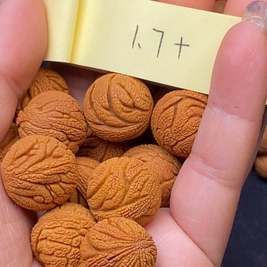 秦岭龙纹桃核14颗