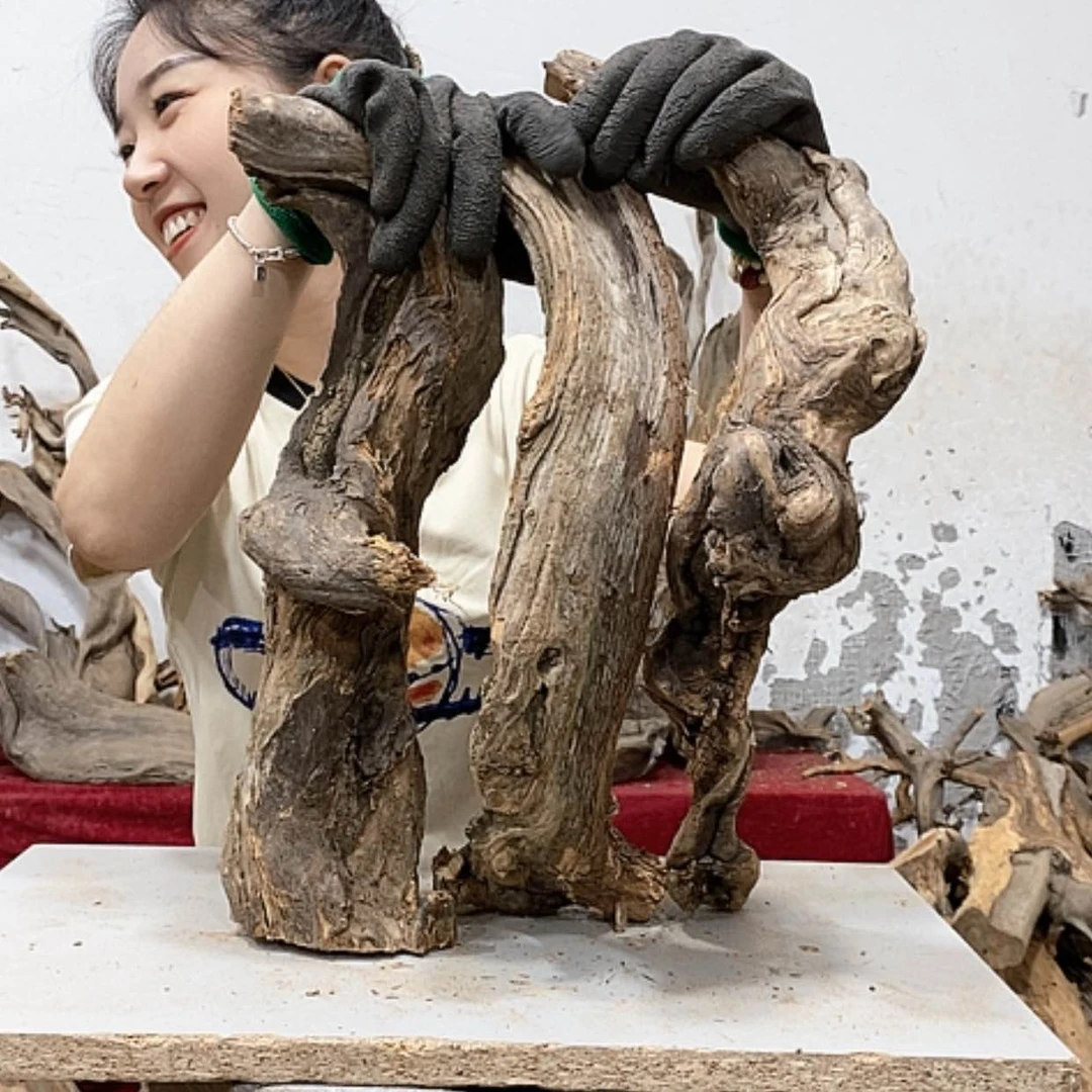 【闪购商品】柏木忆*我们都是好孩子啊