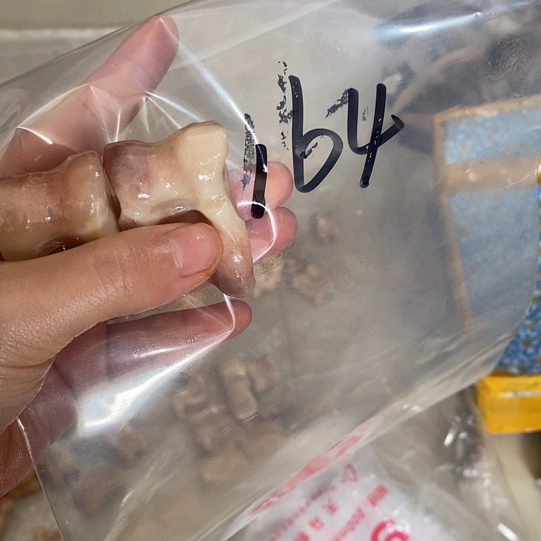 v***D非金属鹿骨鹿骨鹿骨
